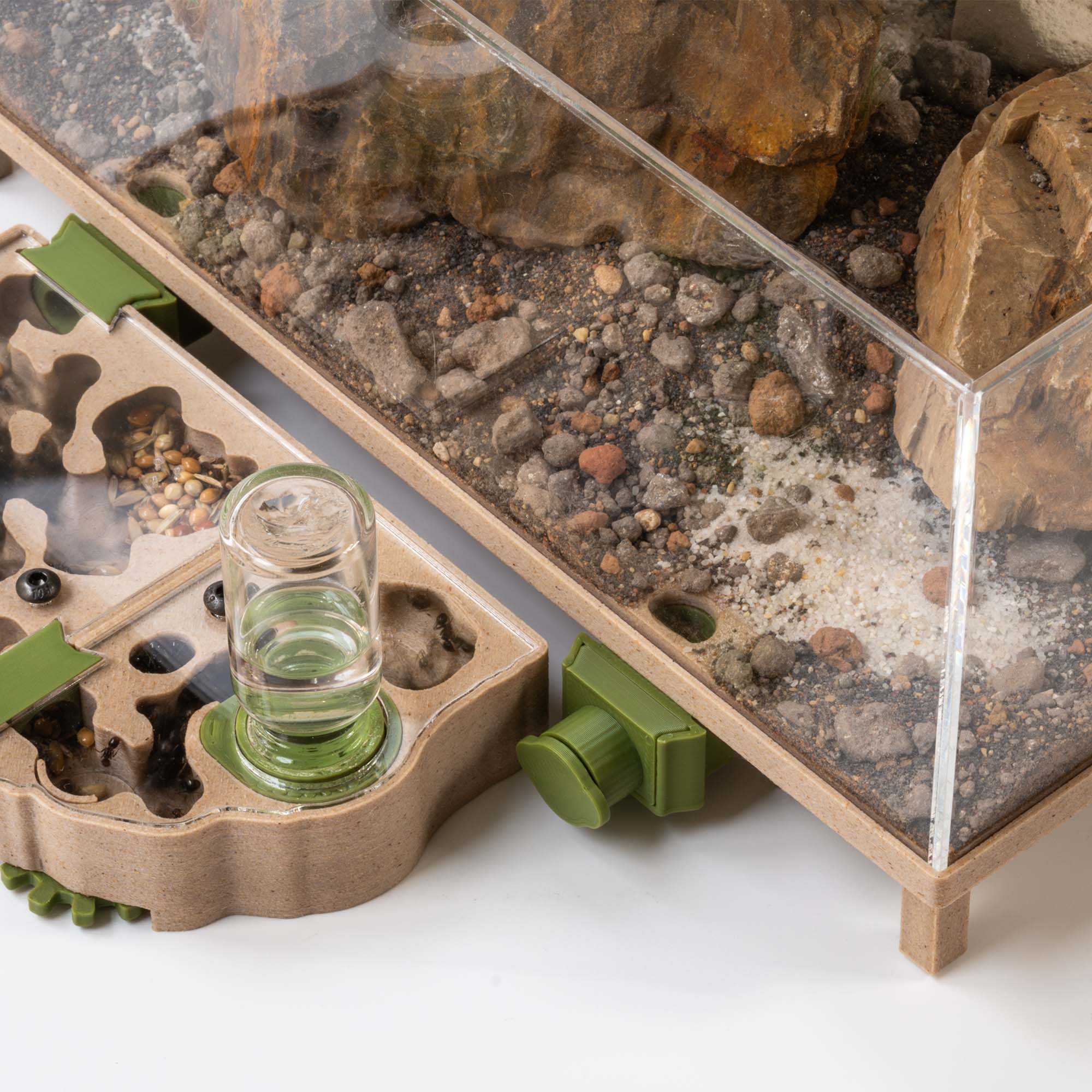 Master the Tiny World